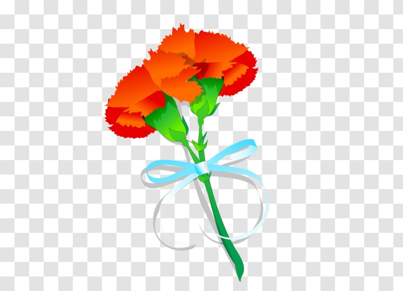 Carnation Poppy Flower Drawing - Annual Plant Transparent PNG