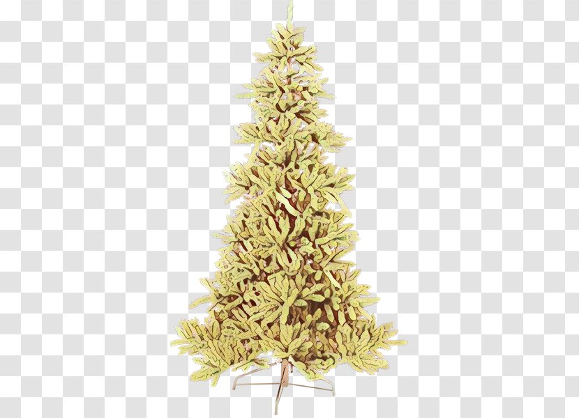 Christmas Tree - American Larch - Pine Transparent PNG