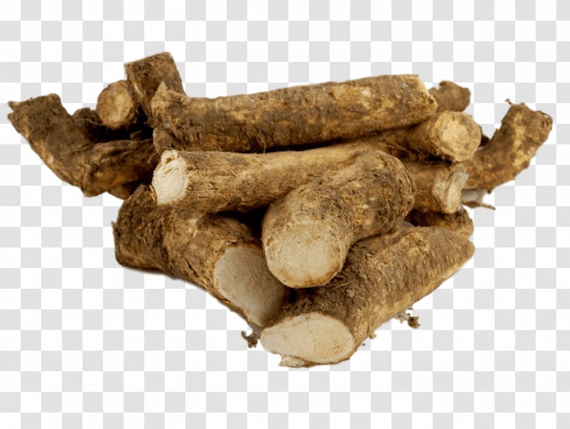 Horseradish Plants Root Ginger Food - Wasabi Transparent PNG