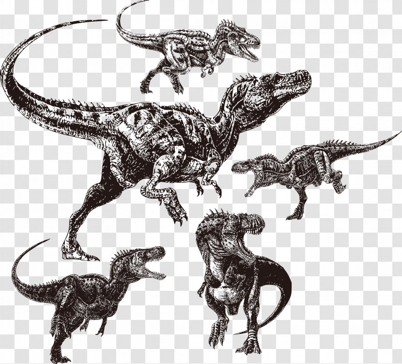Velociraptor Tyrannosaurus Alectrosaurus Afrovenator Utahraptor - Dinosaur - Dinosaurs Vector Pattern Painted Black Transparent PNG