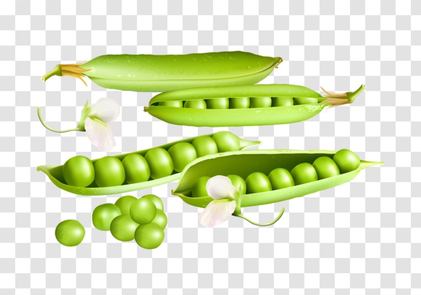 Pea - Natural Foods - Legume Transparent PNG