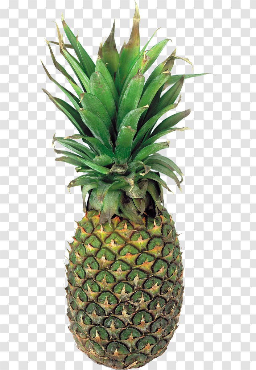 Pineapple Fruit Clip Art - Plant Transparent PNG