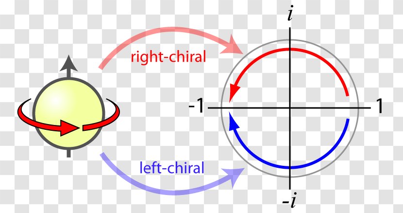 Particle Physics Spin Elementary Fermion - Standard Model Of Transparent PNG