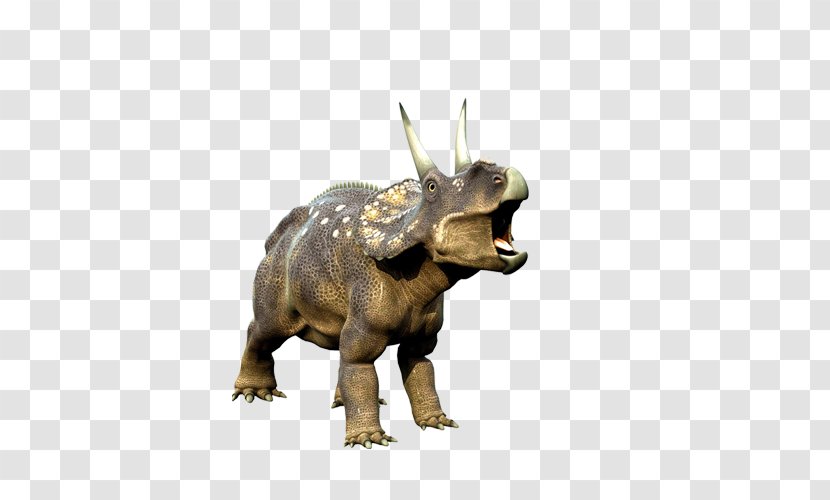 Triceratops Tyrannosaurus Dinosaur Wallpaper Transparent PNG