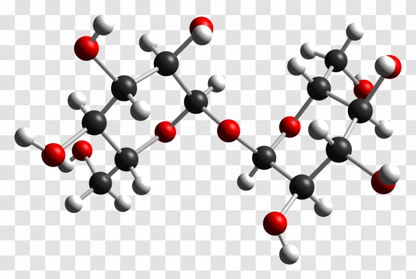 Trehalose Disaccharide Glucose Molecule Fungus - Water Transparent PNG