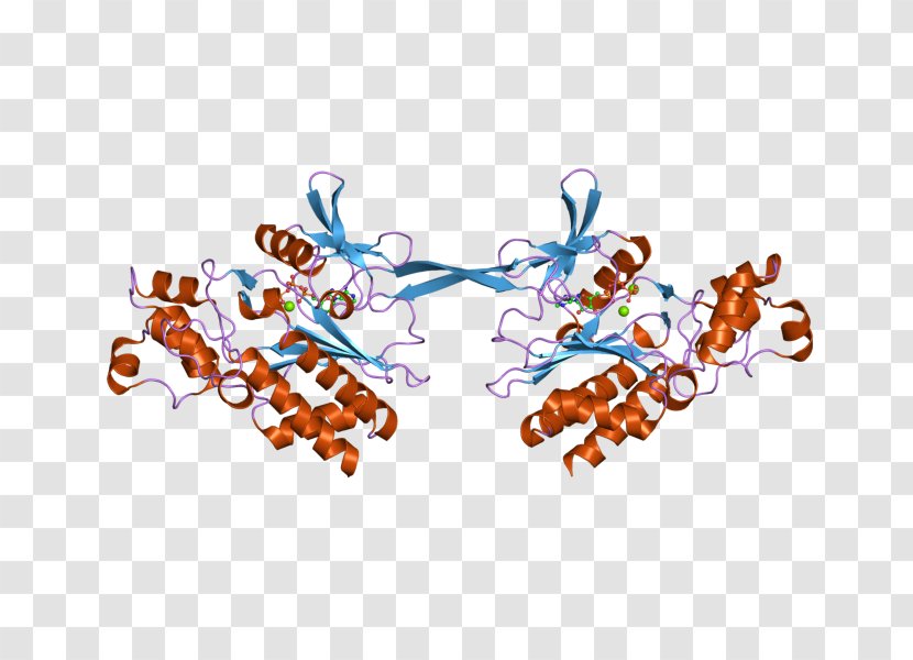 GSTM2 Glutathione S-transferase M2 (muscle) - Ebi Transparent PNG