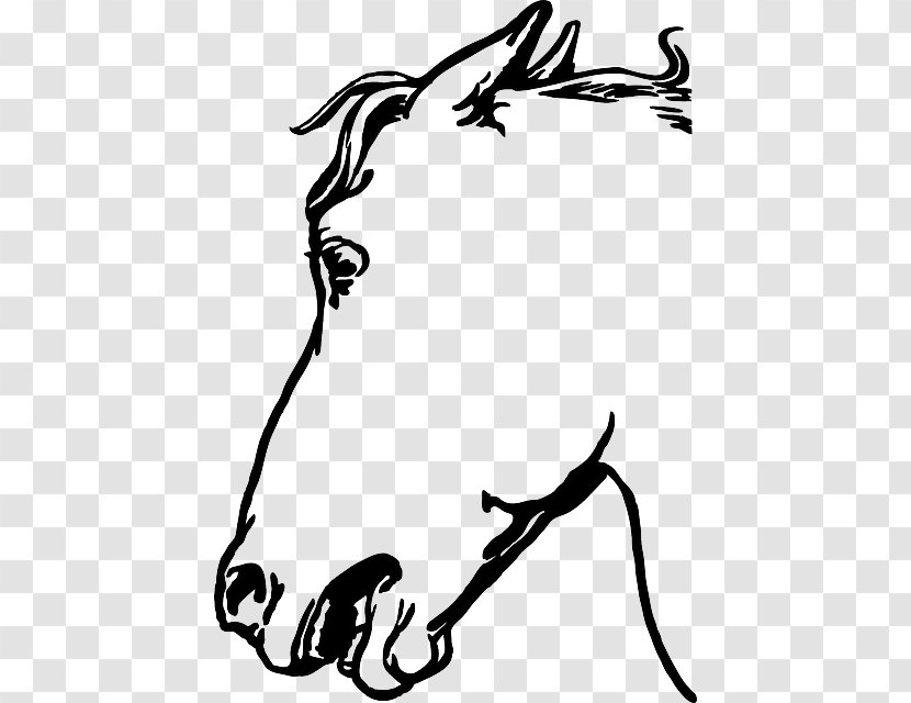 Horse Donkey Foal Clip Art - Calligraphy Transparent PNG