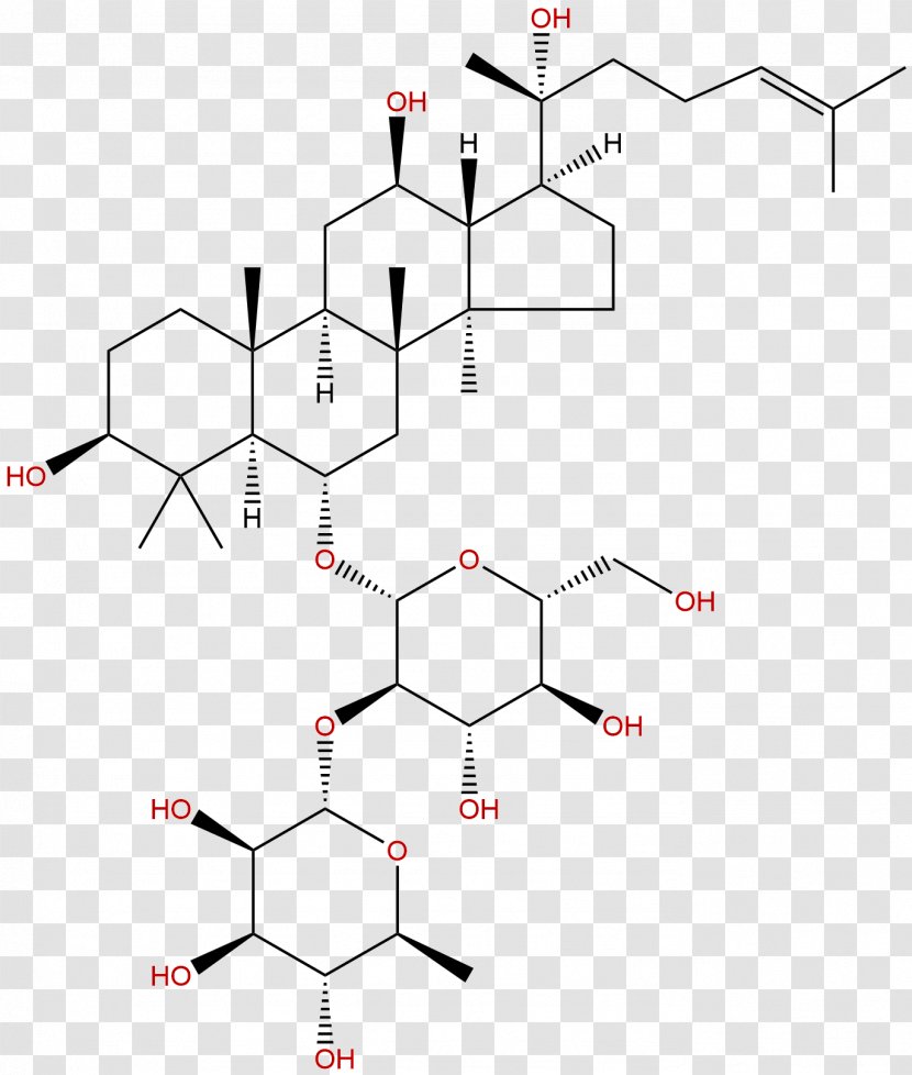 Ginsenoside Betulinic Acid Saponin - Symmetry - Phytochemicals Transparent PNG