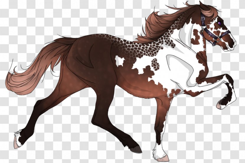 Mustang Stallion Mare Rein Mane - Pony Transparent PNG