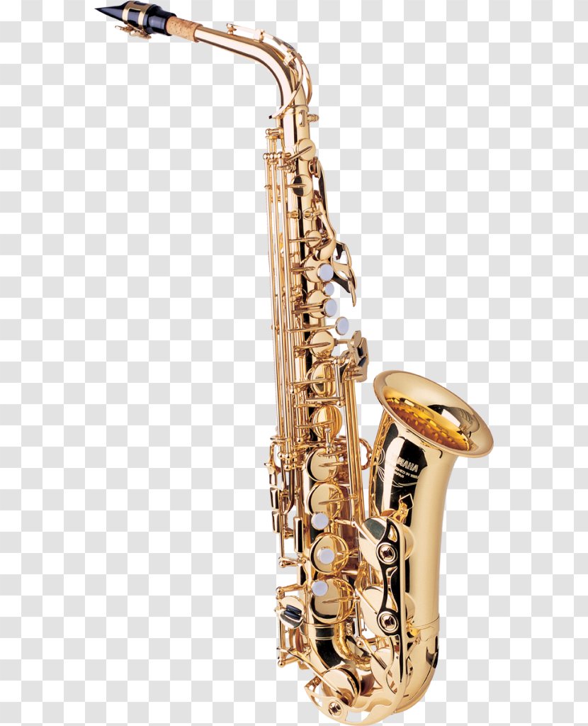 Tenor Saxophone Yanagisawa Wind Instruments Musical - Tree Transparent PNG