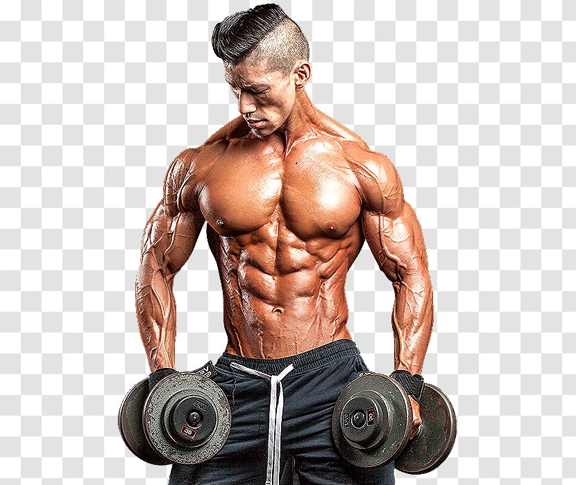 Bodybuilding Men's Health Weight Training Physical Fitness - Frame Transparent PNG
