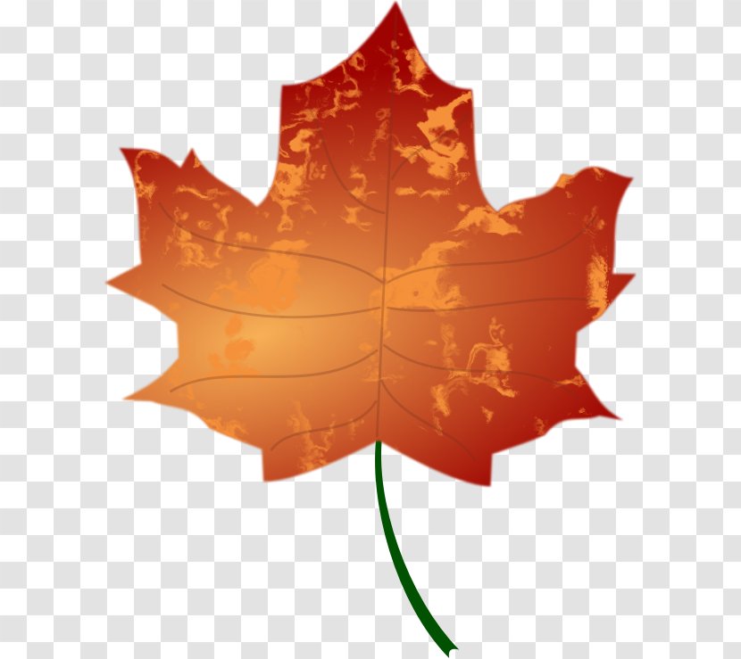Autumn Leaf Color Clip Art - Colours Transparent PNG