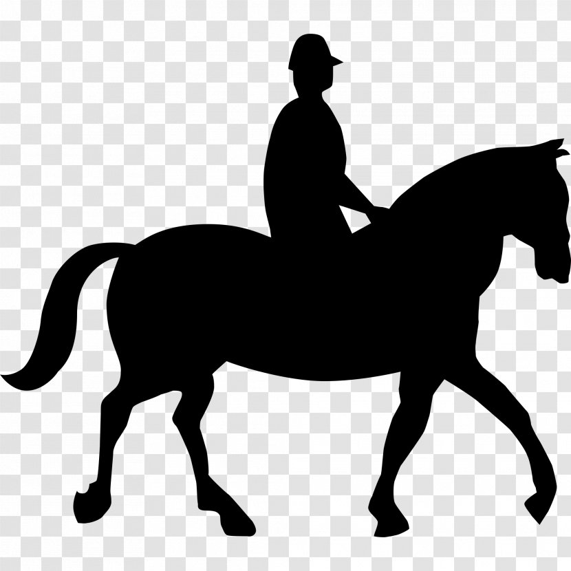 Horse Traffic Sign Warning Road The Highway Code - Equestrianism - Bull Drawing Riding Transparent PNG