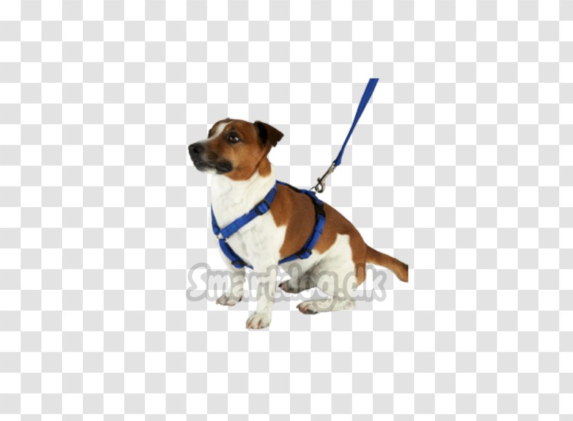 Dog Breed Puppy Companion Leash - Clothes Transparent PNG