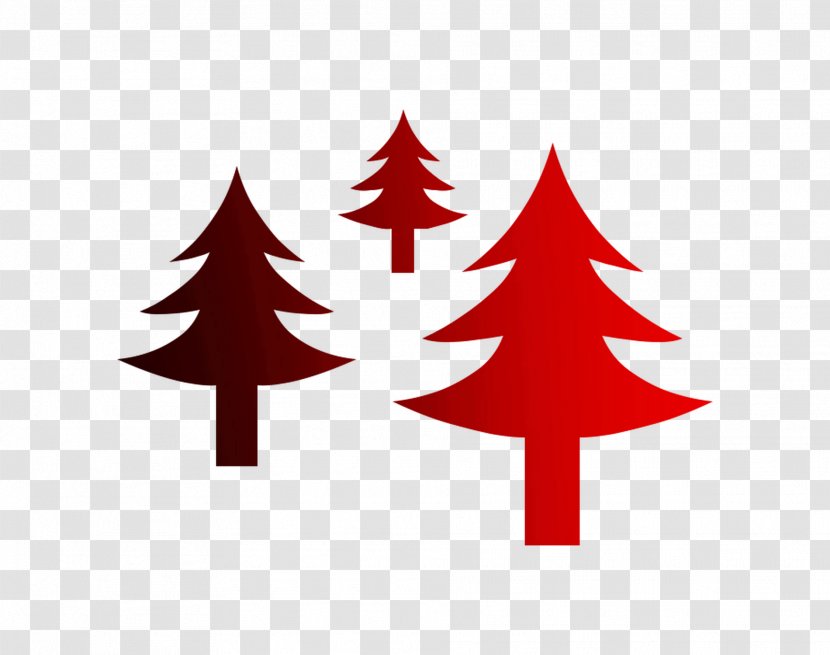 Christmas Tree Royalty-free Graphics Day Illustration - Colorado Spruce - Stock Photography Transparent PNG