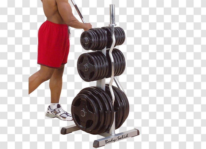 Weight Plate Fitness Centre Barbell Sport - Tree - Human Body Transparent PNG