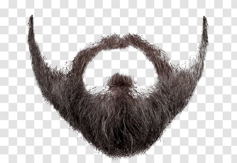 Moustache - Whiskers - Fur Transparent PNG