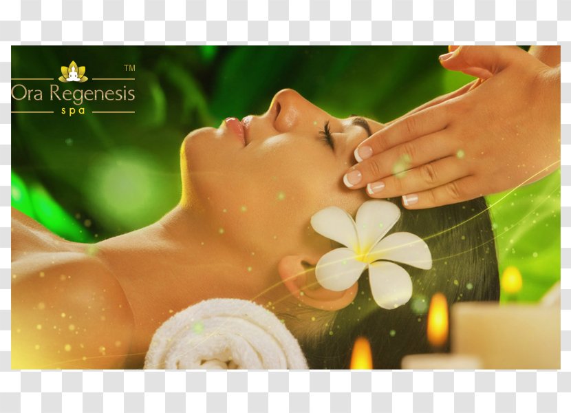 Ayurveda Massage Health Life Medicine - Skin Transparent PNG