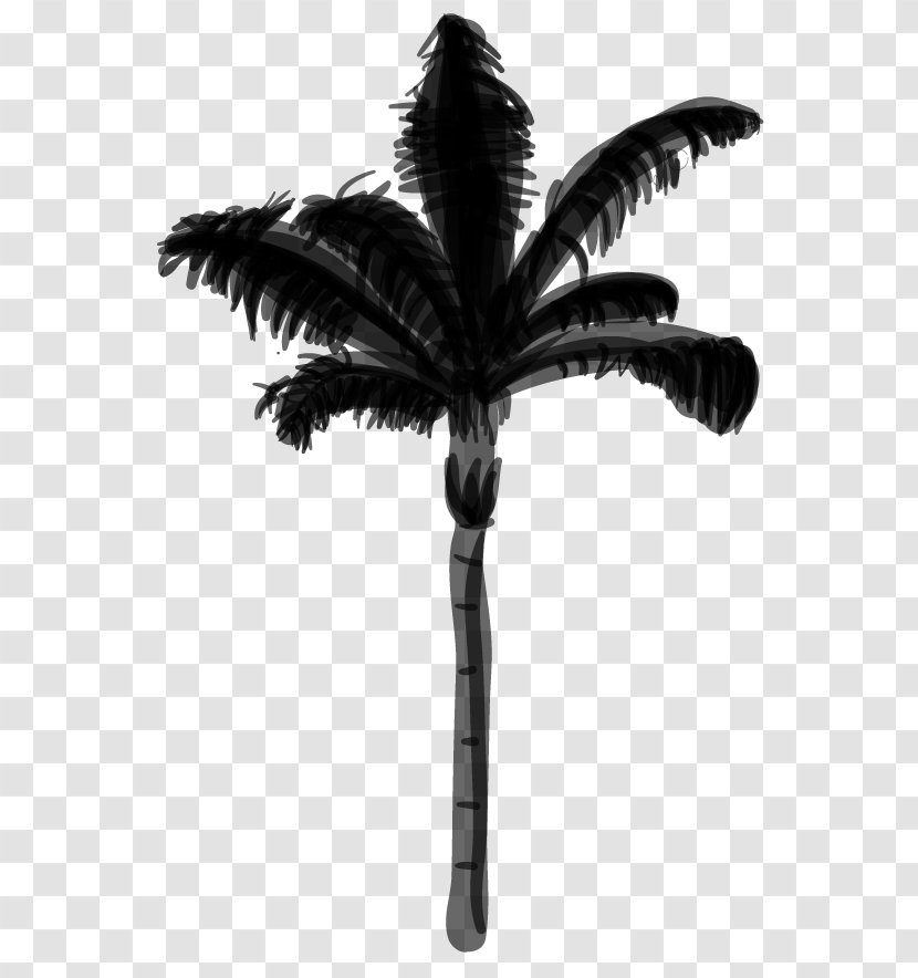 Coconut Date Palm Trees - Attalea Speciosa Transparent PNG