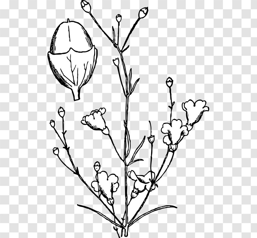 Shrub Plant Clip Art - Cartoon Transparent PNG