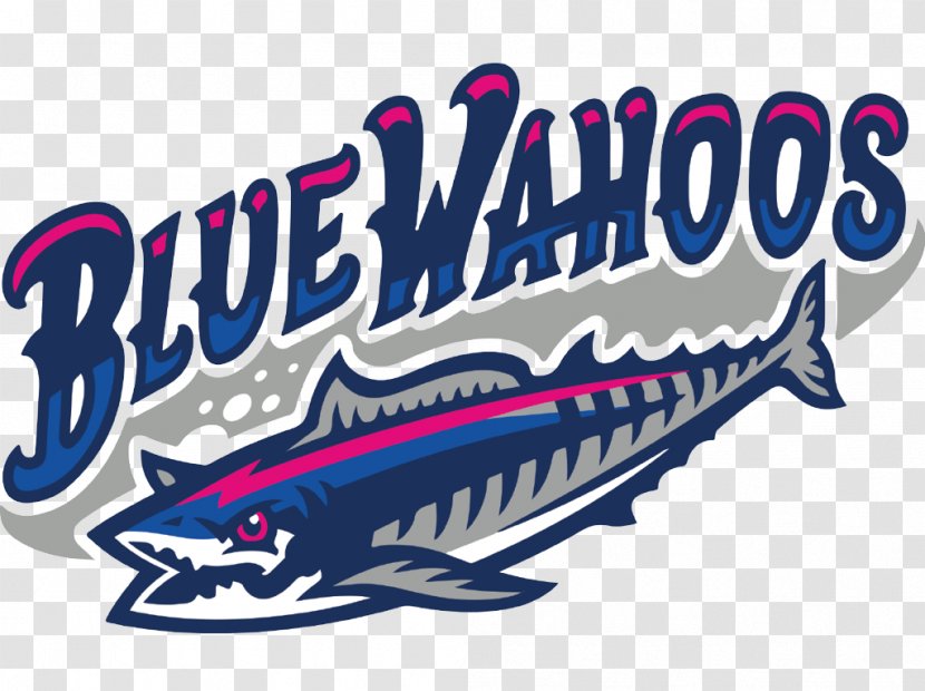 Admiral Mason Field Pensacola Blue Wahoos Cincinnati Reds Southern League Baseball - Quint Studer Transparent PNG