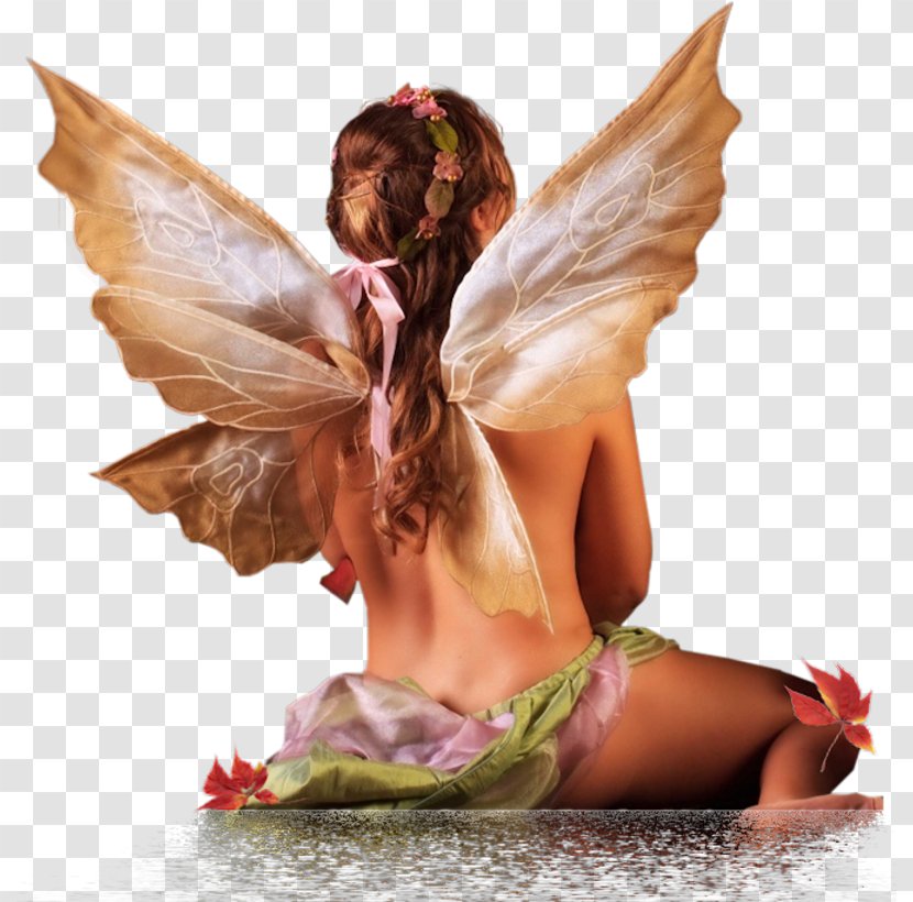 Fairy Féerie Angel Time - Mythical Creature Transparent PNG
