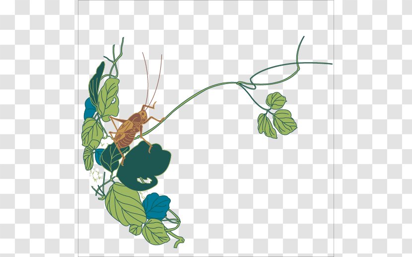 Bush Crickets Insect Illustration - Flowering Plant - Vector Grasshopper Transparent PNG