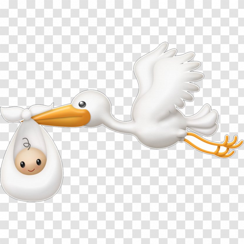 Clip Art Infant White Stork Image - Ciconia - Child Transparent PNG