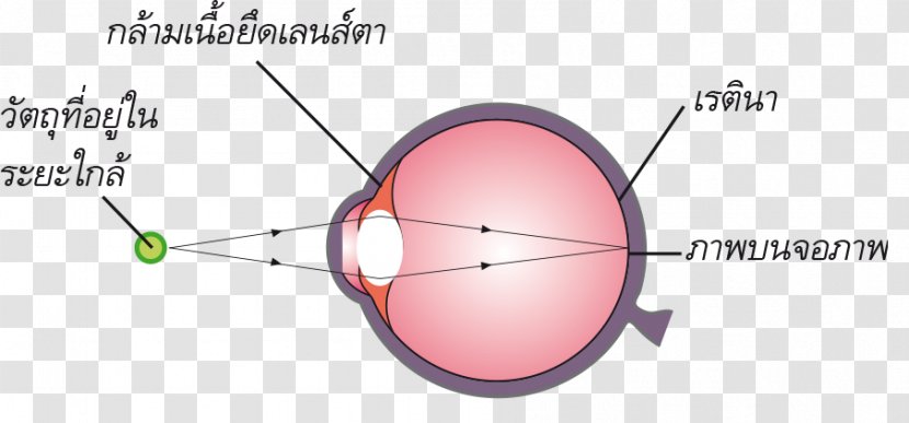 Light Eye Product Design Diagram - Heart - Learning From Other Transparent PNG
