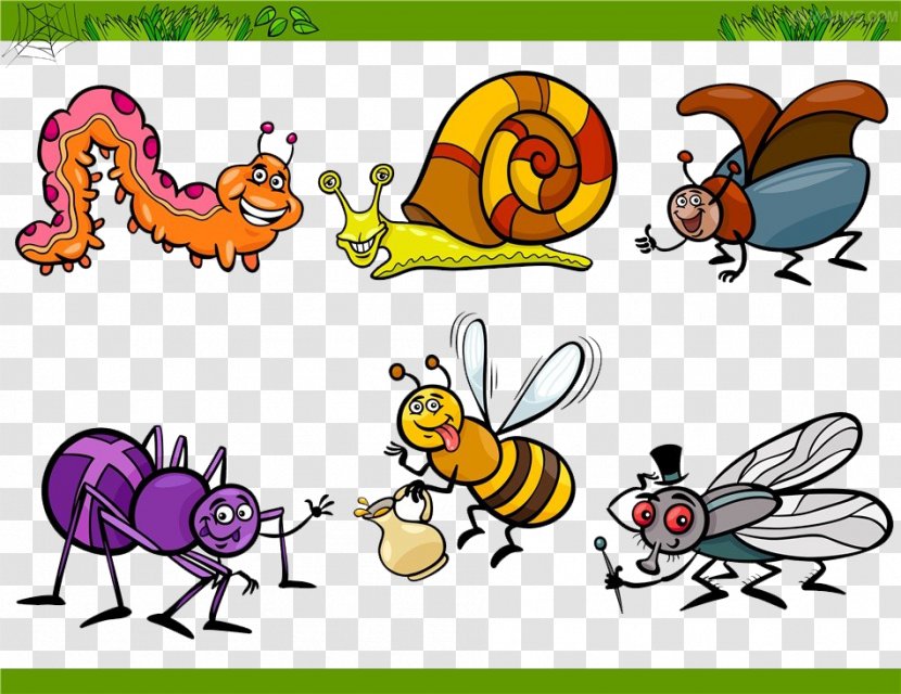 Insect Cartoon Illustration - Pollinator - All Kinds Of Insects Transparent PNG