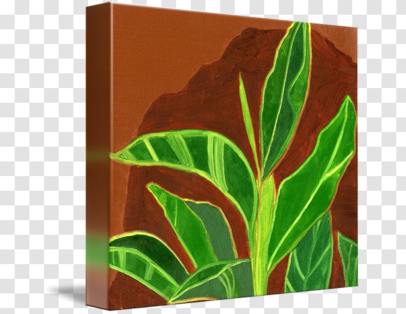 Leaf - Flora - Green Transparent PNG