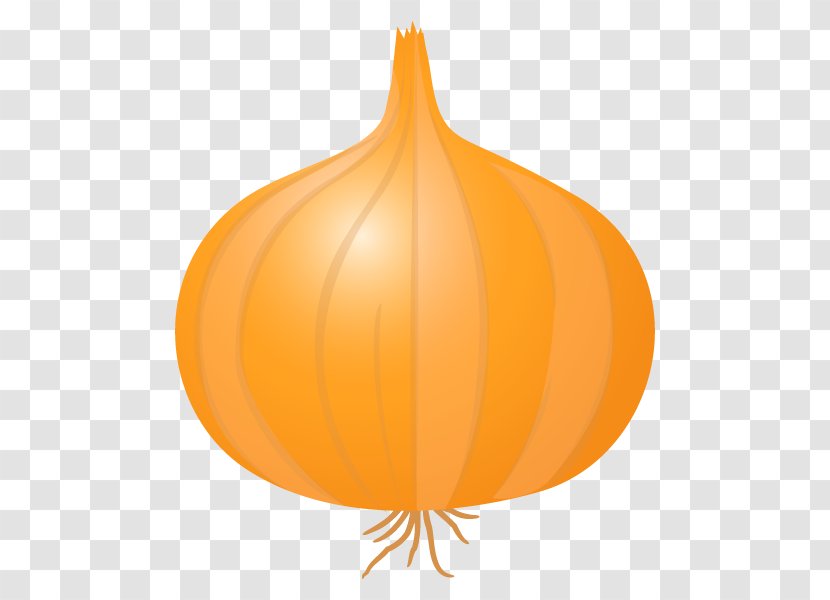 Pumpkin Calabaza Winter Squash Leaf - Fruit Transparent PNG