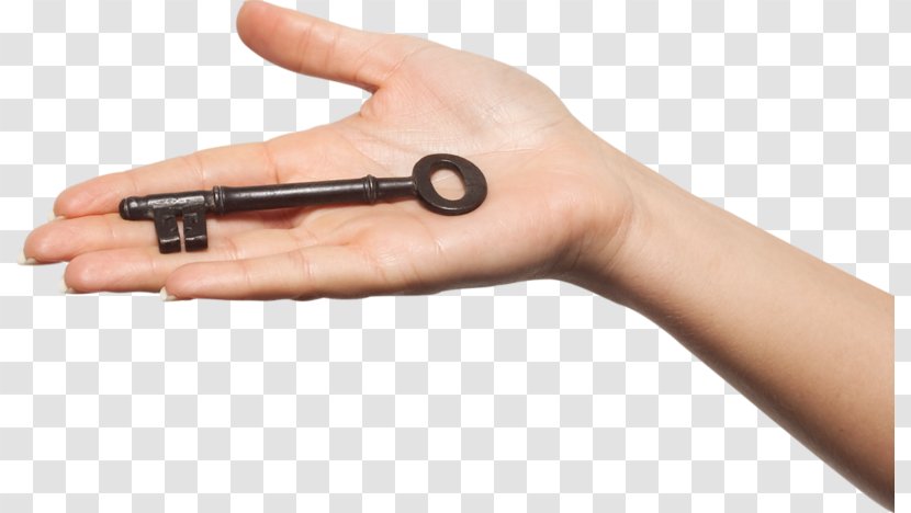 Hand Clip Art Transparent PNG