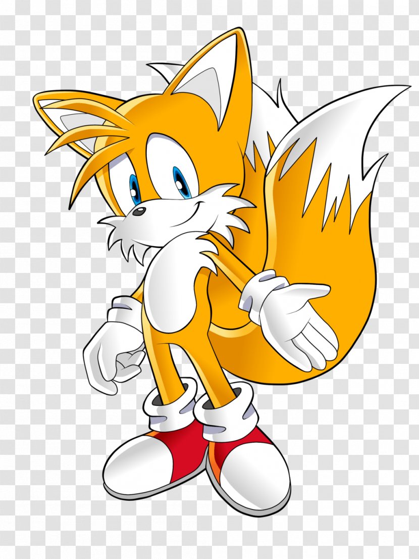 Tails Sonic Riders SegaSonic The Hedgehog Knuckles Echidna Drawing - Dog Like Mammal Transparent PNG