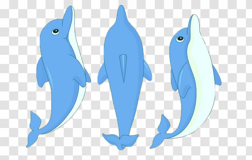 Dolphin Cartoon Clip Art - Mammal - Dolphin,animal,lovely Transparent PNG
