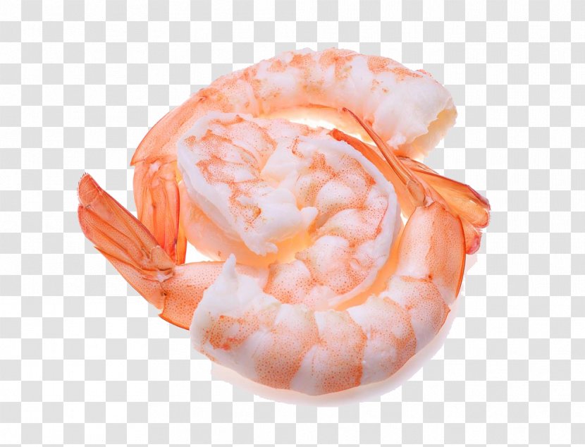 Caridea Orange Shrimp Transparent PNG