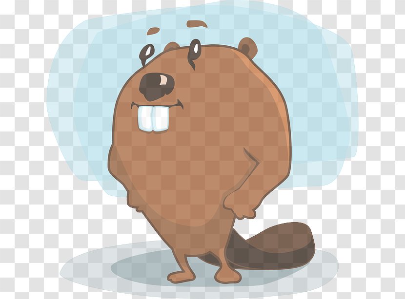 Groundhog Day - Bear Transparent PNG