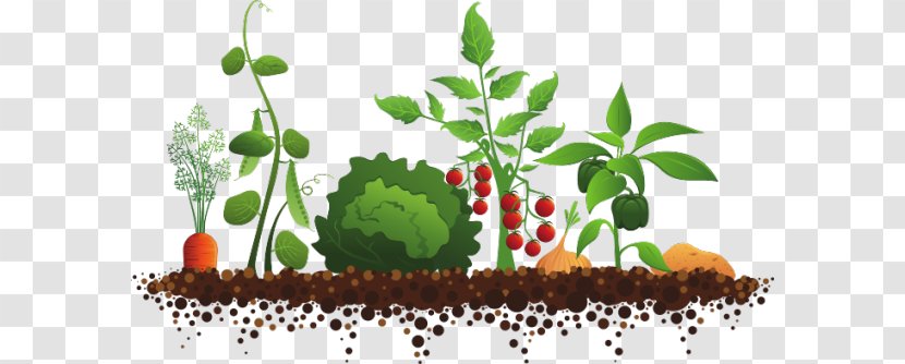 Community Gardening Garden Club Kitchen - Plant - Flower Growing Cliparts Transparent PNG