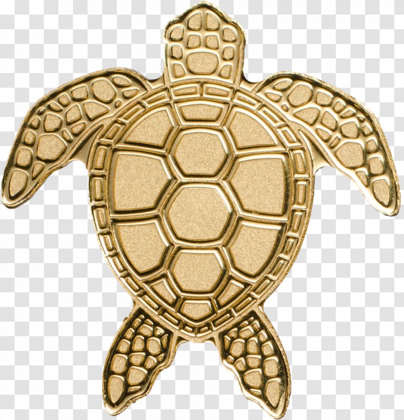 Tortoise Turtle Palau Gold Coin Transparent PNG