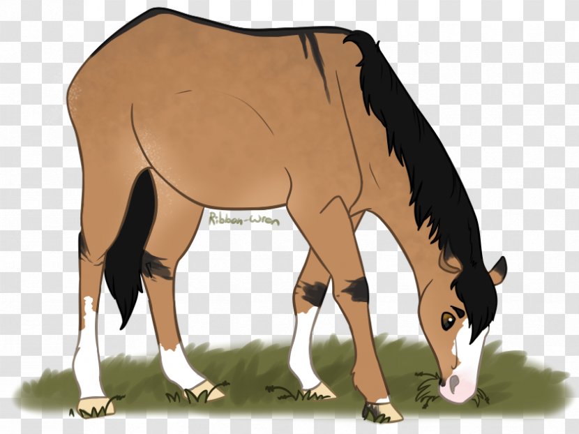 Dairy Cattle Mule Halter Foal - Donkey Transparent PNG
