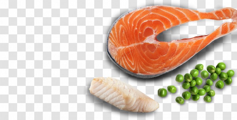 Cat Food Salmon As - Diet - Dried Fish Transparent PNG