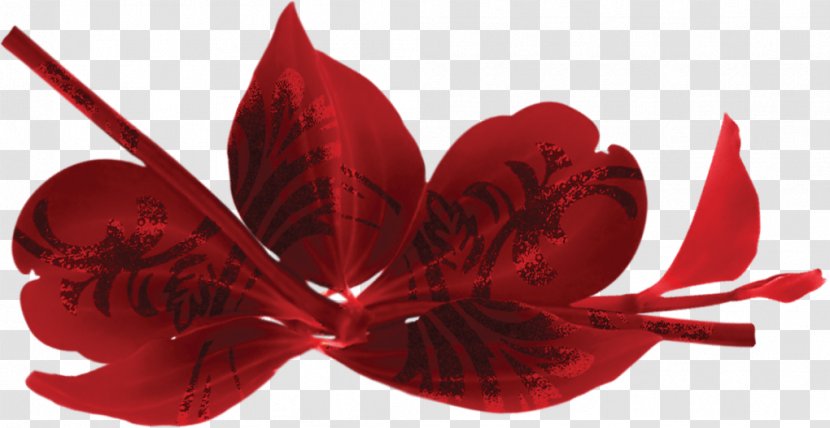 Yandex Picture Frame Petal Clip Art - Love - Red Leaf Transparent PNG
