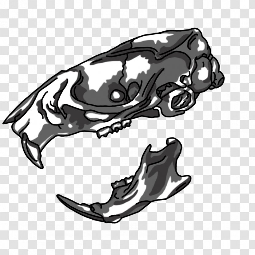 Laboratory Rat Skull Drawing - Fashion Accessory Transparent PNG