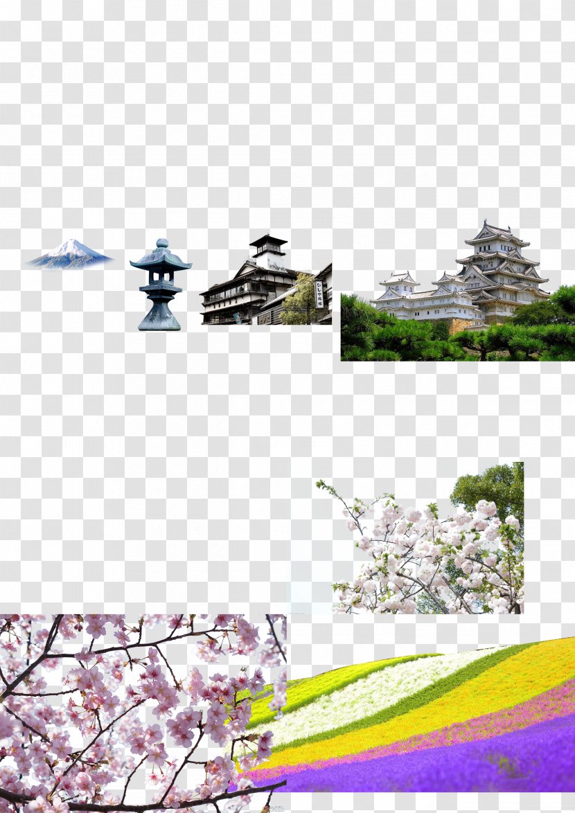 Japan Graphic Design Icon - Designer - Landscape Transparent PNG