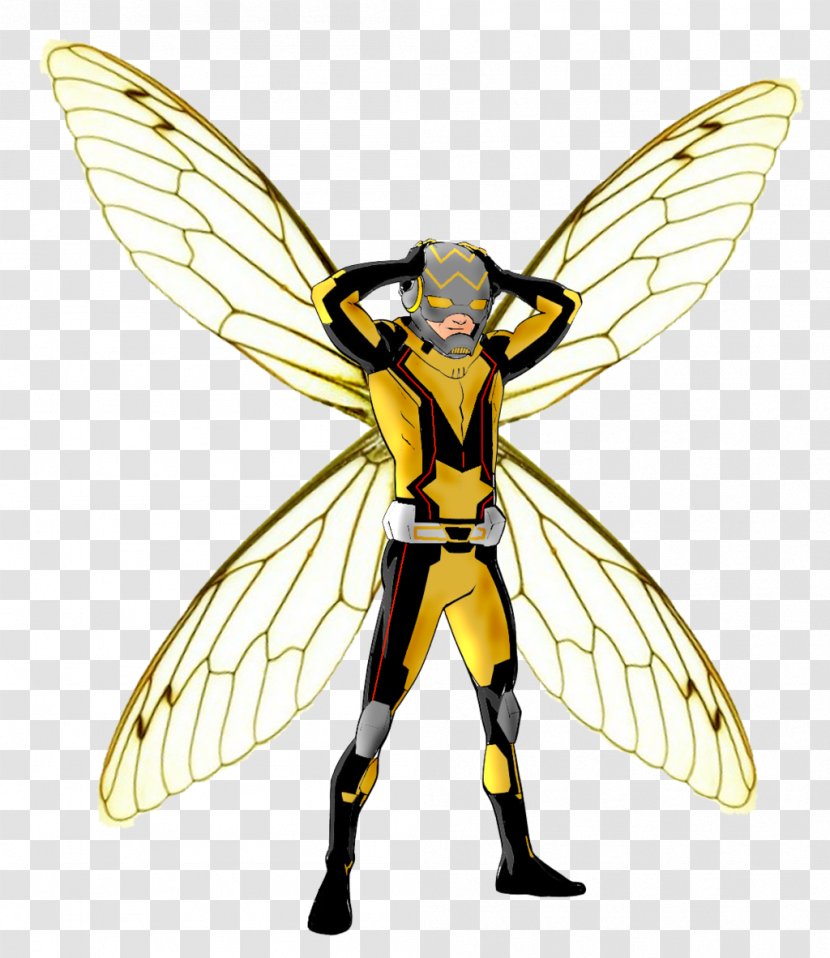 Wasp Hornet Insect Bee Megalara - Fly Transparent PNG