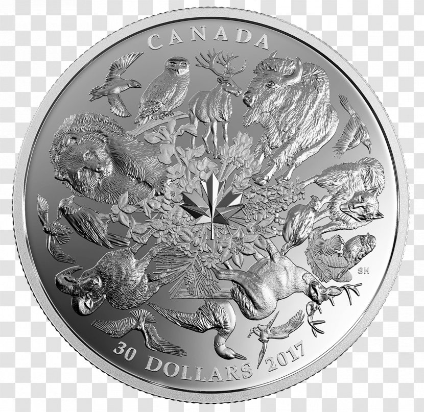 Coin 150th Anniversary Of Canada Silver Flora - Ounce - Metal Transparent PNG