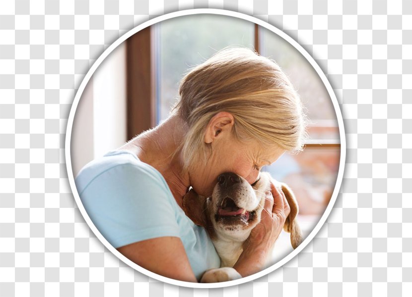 Therapy Dog Pet Sitting Veterinarian - Arm Transparent PNG