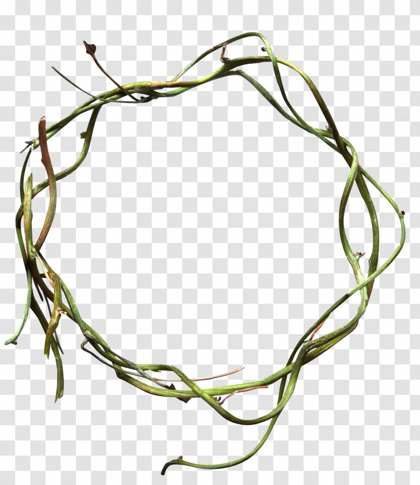 Circle Vine - Green - Shoots Ring Transparent PNG
