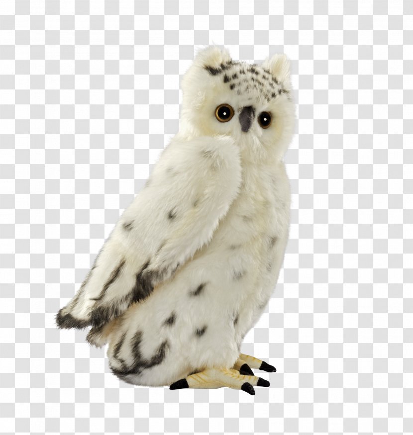 Snowy Owl Bird Stuffed Animals & Cuddly Toys - Animal Transparent PNG
