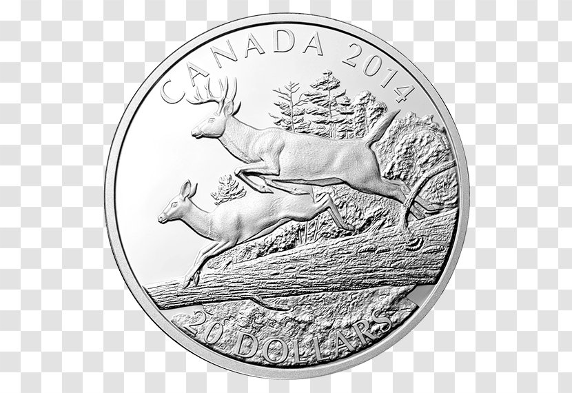 Coin Silver White-tailed Deer Perth Mint - Black And White Transparent PNG